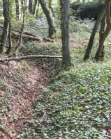 Ligne Maginot - CB104 - RAFERT - (Blockhaus pour canon) - Blockhaus, tranchées, abri