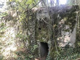 Ligne Maginot - CB114 - UBER DEM HUGEL - (Blockhaus pour canon) - Entrée du blockhaus
