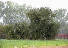 Ligne Maginot - CB130 - GRABER - (Blockhaus pour canon) - 