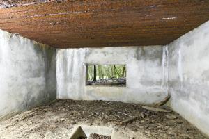 Ligne Maginot - CB132 - HIRTZWIESE - (Blockhaus pour canon) - 