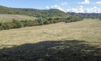 Ligne Maginot - CB152 - WEILER - (Blockhaus pour canon) - Vue du secteur de tir couvert par le bloc.
