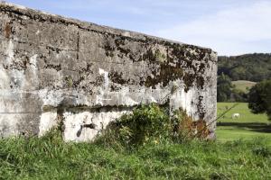 Ligne Maginot - CB156 - HOHDORN - (Blockhaus pour canon) - 