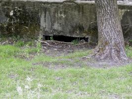 Ligne Maginot - CB614 - INGLANGE SUD - (Blockhaus pour canon) - 