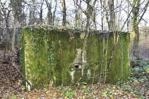 Ligne Maginot - CB173 - YELLE 02 - (Blockhaus pour canon) - Façade avant avec créneau de tir