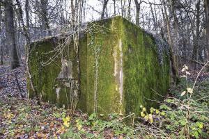 Ligne Maginot - CB173 - YELLE 02 - (Blockhaus pour canon) - Façade avant avec créneau de tir