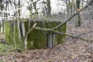 Ligne Maginot - CB173 - YELLE 02 - (Blockhaus pour canon) - Entrée du matériel et des munitions