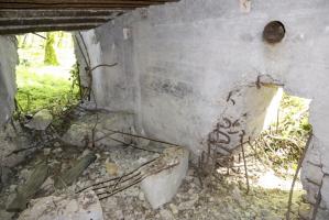 Ligne Maginot - CB423 - HART MASSELTERWIESE - (Blockhaus pour arme infanterie) - 