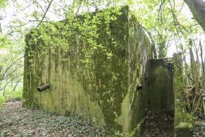 Ligne Maginot - CB432 - KLOSTERBUSCH 2 - (Blockhaus pour arme infanterie) - 