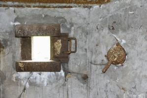 Ligne Maginot - CB432 - KLOSTERBUSCH 2 - (Blockhaus pour arme infanterie) - 