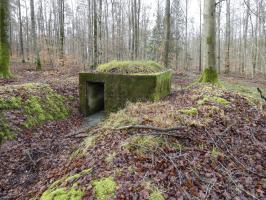 Ligne Maginot - HOLZSCHLAG 4 - (Blockhaus pour arme infanterie) - La vue de l'arrière et l'entrée du blockhaus.