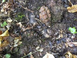 Ligne Maginot - CT16 - (Cuve pour arme d'infanterie) - Des grenades F1 dans la tranchée derrière le blockhaus. Le site a été proprement déminé compte tenu du danger. Ceci montre le type de danger auxquel on fait face parfois.