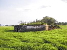 Ligne Maginot - KIESELBACH 1 - (Abri) - 