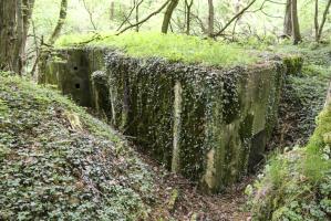 Ligne Maginot - KLOSTERBUSCH 4  Abri - 