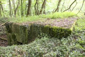 Ligne Maginot - KLOSTERBUSCH 4  Abri - Entrée nord