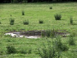 Ligne Maginot - 23M - (Chambre de coupure) - 