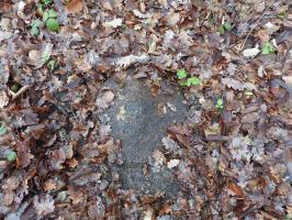 Ligne Maginot - BB10-B - LA HOUVE - (Central téléphonique d'observation) - La trappe du périscope.