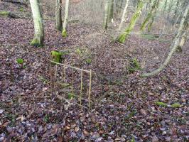 Ligne Maginot - BB10-B - LA HOUVE - (Central téléphonique d'observation) - A proximité un lit provenant du central ?
