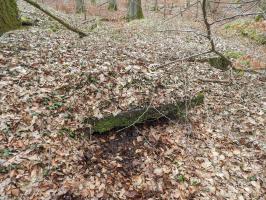 Ligne Maginot - BB43-F - (Blockhaus pour arme infanterie) - L'unique créneaux pour FM vers l'est.