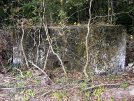 Ligne Maginot - BB309 - WELSCHENBERG - (Blockhaus pour arme infanterie) - Vue d'ensemble