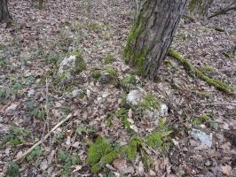 Ligne Maginot - BB310 - (Blockhaus pour arme infanterie) - Des sacs de ciment solidifiés à proximité.
