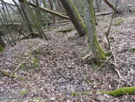 Ligne Maginot - BB310 - (Blockhaus pour arme infanterie) - Le réseau des tranchées.
