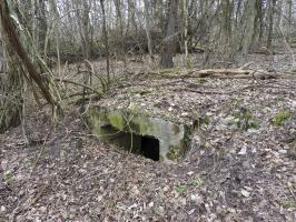 Ligne Maginot - WELSCHENBERG OUEST 2 - (Blockhaus pour arme infanterie) - Une des ouvertures de tir.