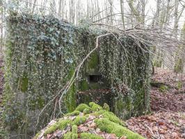 Ligne Maginot - BB312 - (Blockhaus pour arme infanterie) - La façade de tir vers le nord-est.
