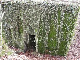 Ligne Maginot - BB312 - (Blockhaus pour arme infanterie) - L'entrée du blockhaus.