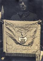 Ligne Maginot - 75° Bataillon Alpin de Forteresse (75° BAF) - Fanion du 75° BAF (côté avers)