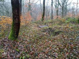 Ligne Maginot - 27LBIS - (Chambre de coupure) - 