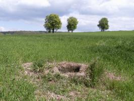 Ligne Maginot - HOMBOURG-BUDANGE - (Central téléphonique isolé) - Le débouché du puits d'issue de secours 