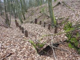 Ligne Maginot - HOUVE 2 - (Abri) - L'abri vu de dessus.