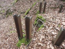 Ligne Maginot - HOUVE 2 - (Abri) - Les renforts en rail de chemin de fer.