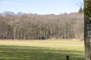 Ligne Maginot - HUBERBUSCH 3 - (Blockhaus pour arme infanterie) -  