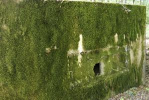 Ligne Maginot - HUBERBUSCH 3 - (Blockhaus pour arme infanterie) - 
