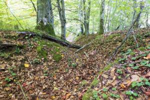 Ligne Maginot - HUBERBUSCH 5 - (Blockhaus pour canon) - Tranchée d'accès