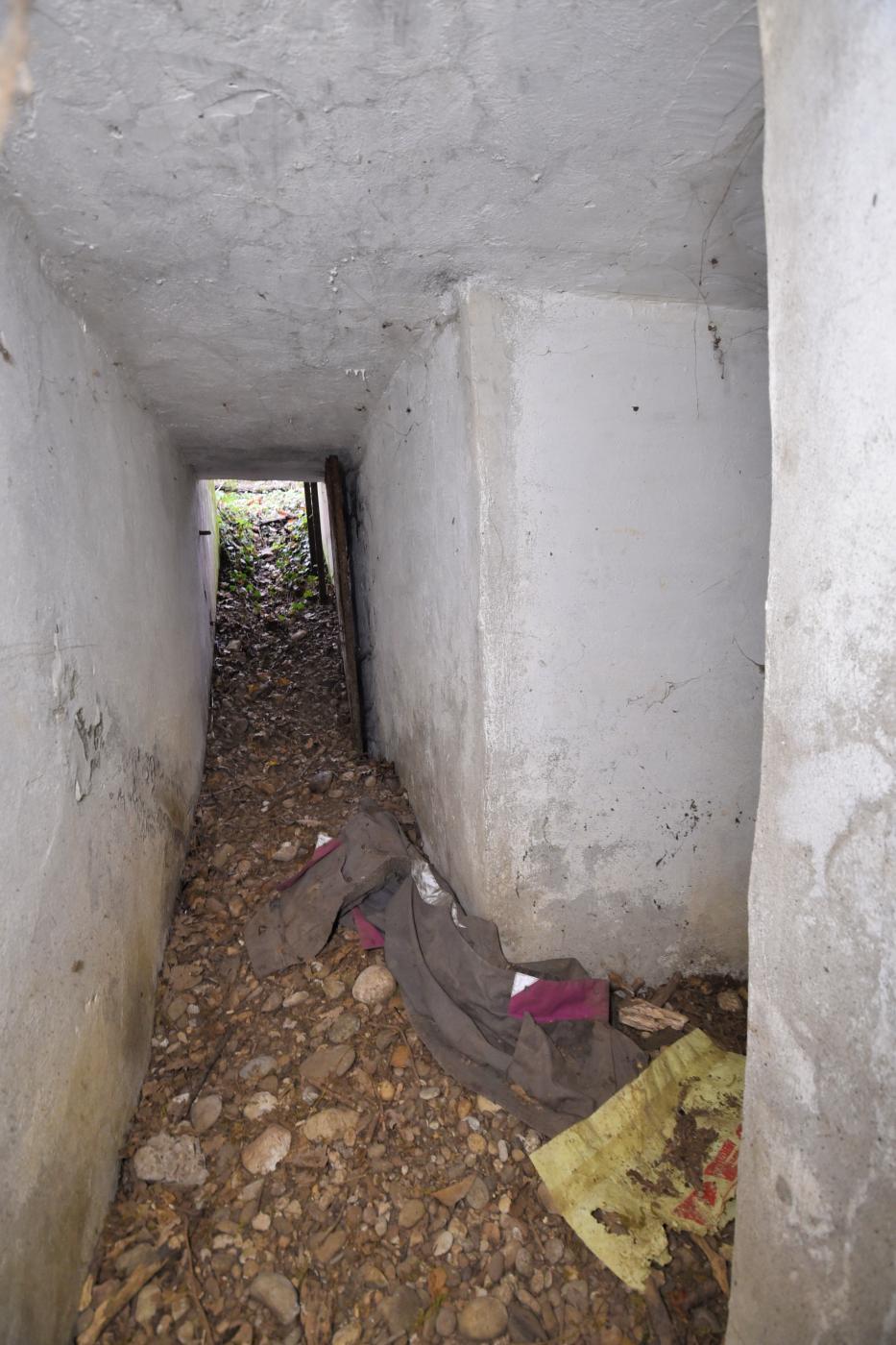 Ligne Maginot - OBERWALD SUD NORD-EST - (Blockhaus pour arme infanterie) -  - Ludovic KNAPP