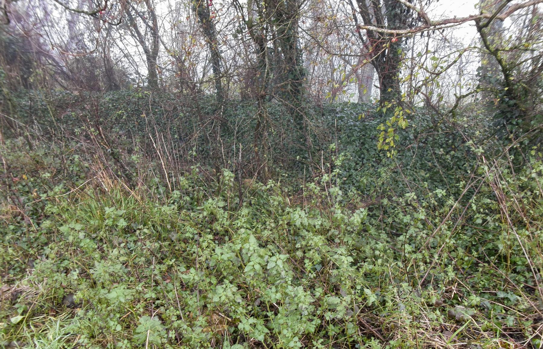 Ligne Maginot - LA CHAVEE 2 - (Observatoire indéterminé) - La tranchée - Marc Fossoul