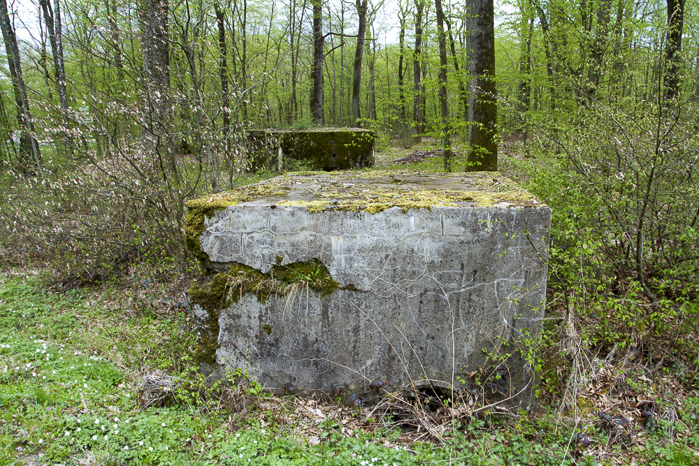 Ligne Maginot - KANFENER BUSCH 1 - (Blockhaus pour arme infanterie) - Vue du côté de l'entrée du petit bloc. 
A l'arrière-plan on voit le bloc KANFENER BUSCH 2 - Michel Teiten
