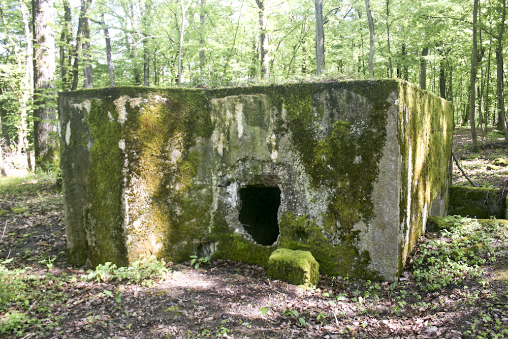 Ligne Maginot - KANFENER BUSCH 2 - (Blockhaus pour arme infanterie) - Vue frontale du blockhaus.
L'embrasure a été détruite. - Michel Teiten