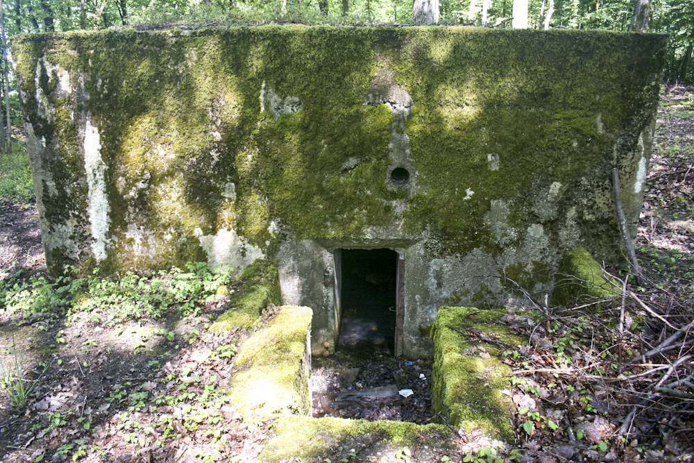 Ligne Maginot - KANFENER BUSCH 2 - (Blockhaus pour arme infanterie) - Vue arrière et entrée du blockhaus.  - Michel Teiten