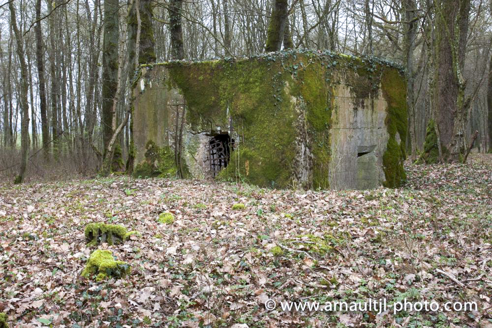 Ligne Maginot - KANFENER BUSCH 4 - (Blockhaus pour arme infanterie) - 