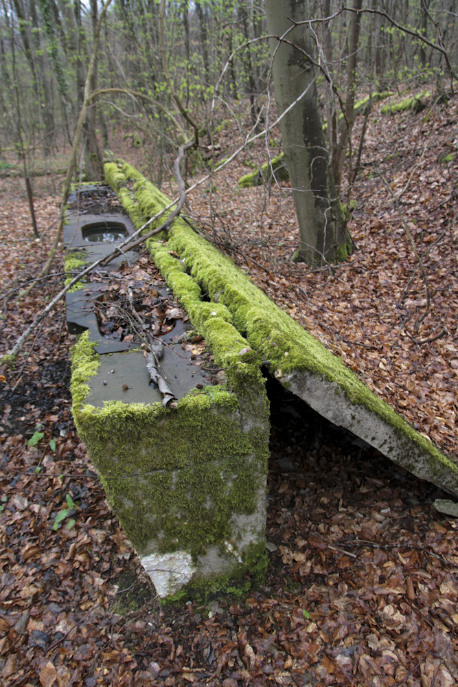 Ligne Maginot - MOLVANGE - (Casernement) - Restes de lavabos