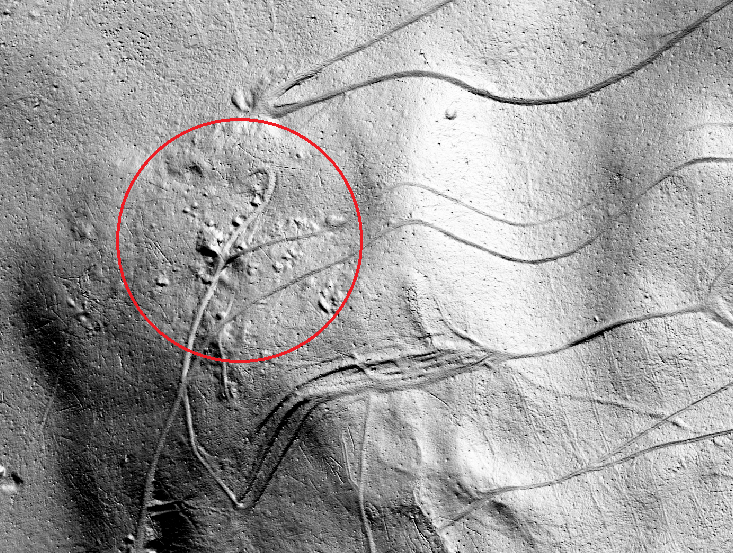 Ligne Maginot - VERDOT - (Casemate d'artillerie) - Un emplacement possible - Jean-Michel Jolas