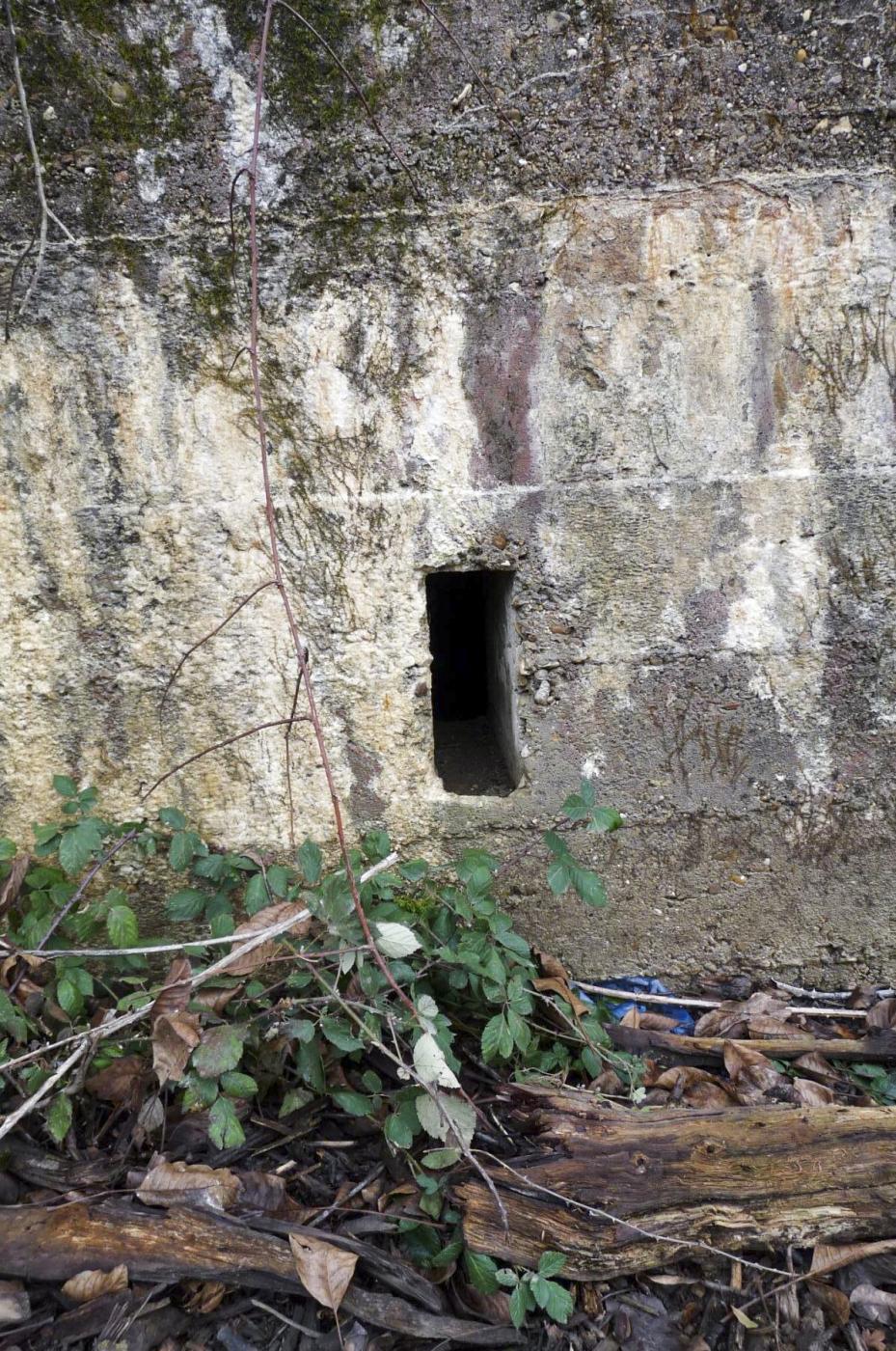 Ligne Maginot - BC3 - FREIHAUSER - (Chambre de coupure) -  - SYLVIE LAURE LAMBERT