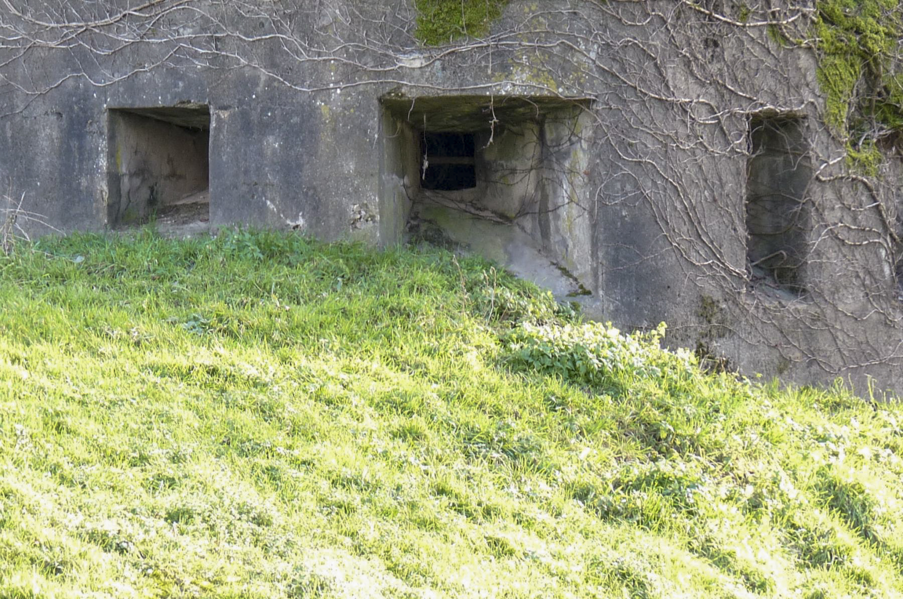 Ligne Maginot - BC32 - BLOCKHAUS N°2 - (Chambre de coupure) -  - Sylvie-Laure Lambert