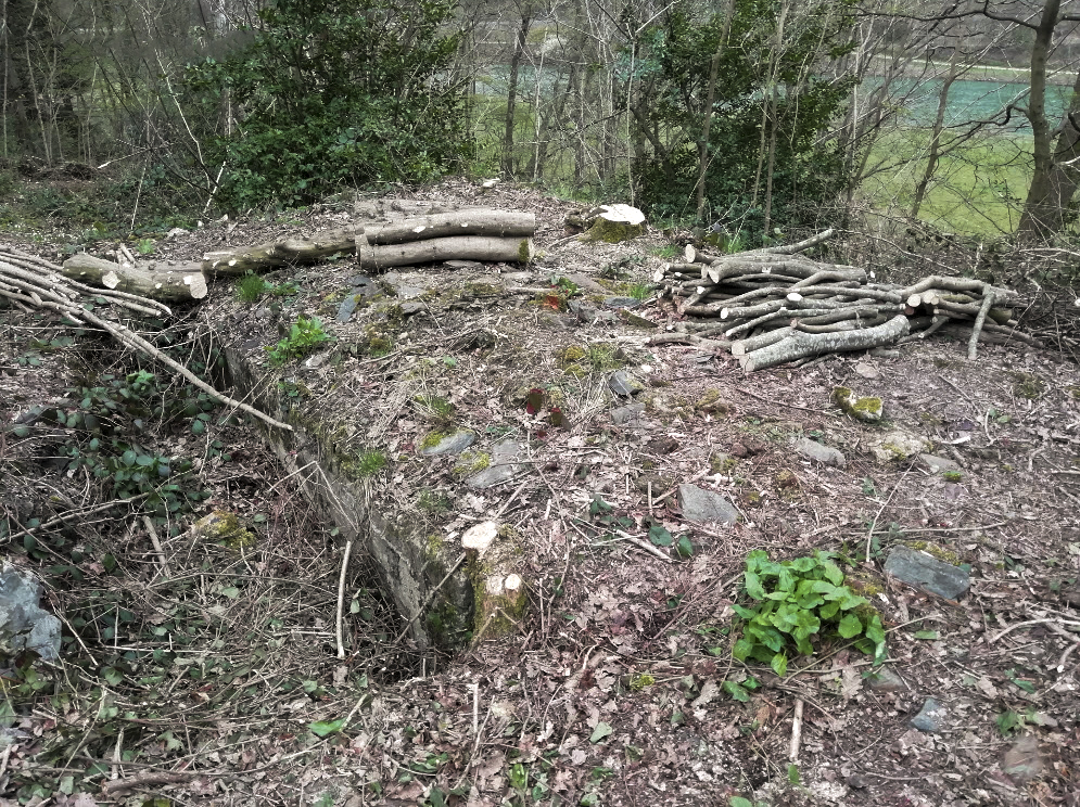Ligne Maginot - BB36 - LE BOIS BRYAS - (Blockhaus pour arme infanterie) -  - Ph. Maréchal