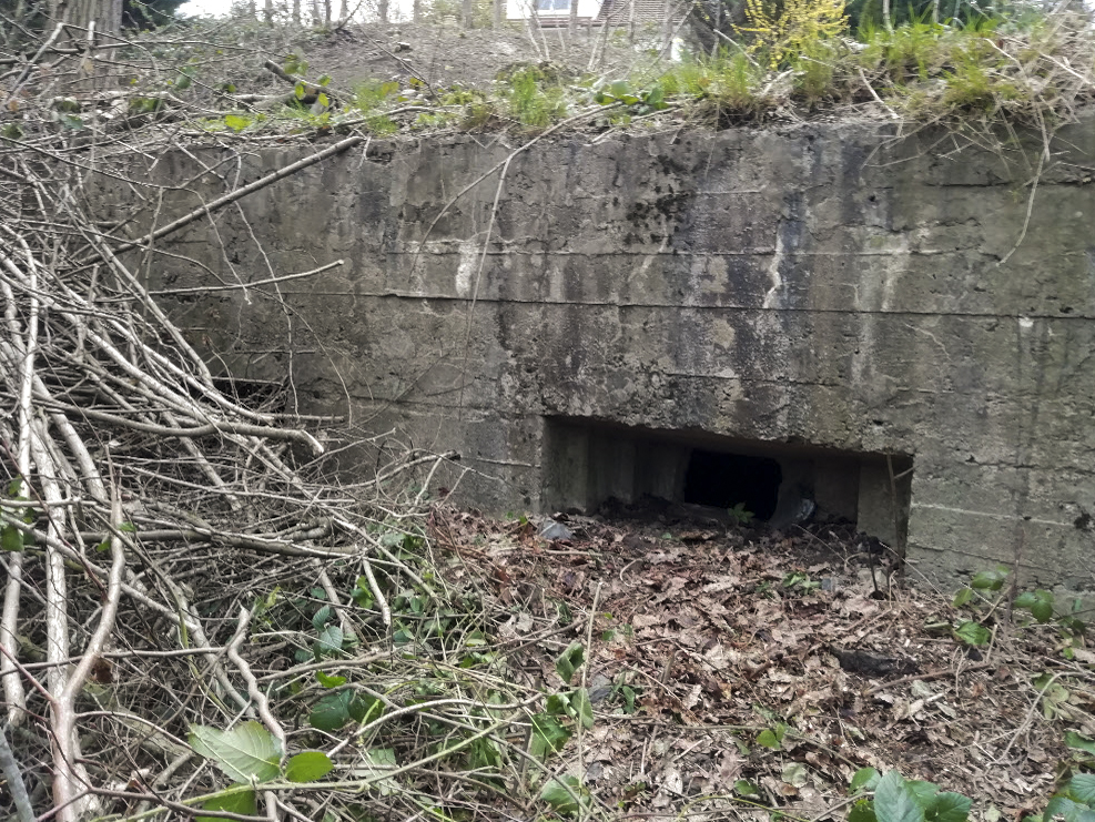 Ligne Maginot - BB36 - LE BOIS BRYAS - (Blockhaus pour arme infanterie) -  - Ph. Maréchal
