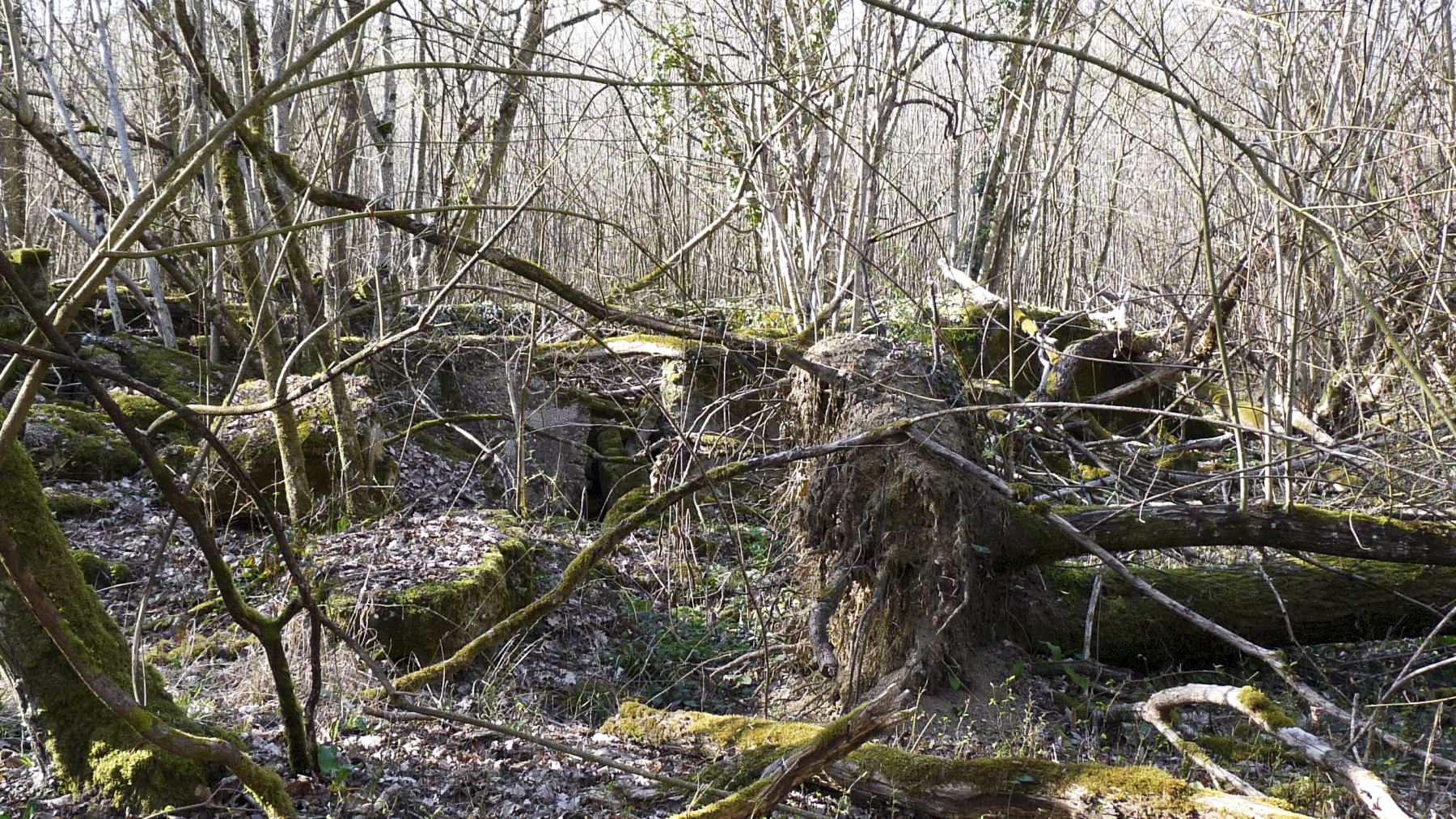 Ligne Maginot - BOIS KARRE - (Casernement) - 