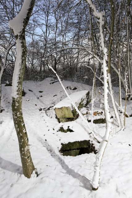 Ligne Maginot - BOIS KARRE - (Casernement) - Vestiges
